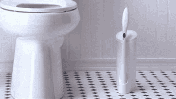A model using a Clorox toilet wand
