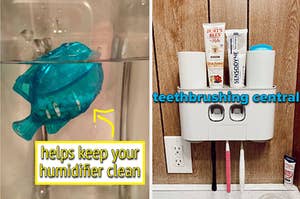 fish filter in humidifier, toothbrush and toothpaste holder mounted on a wall