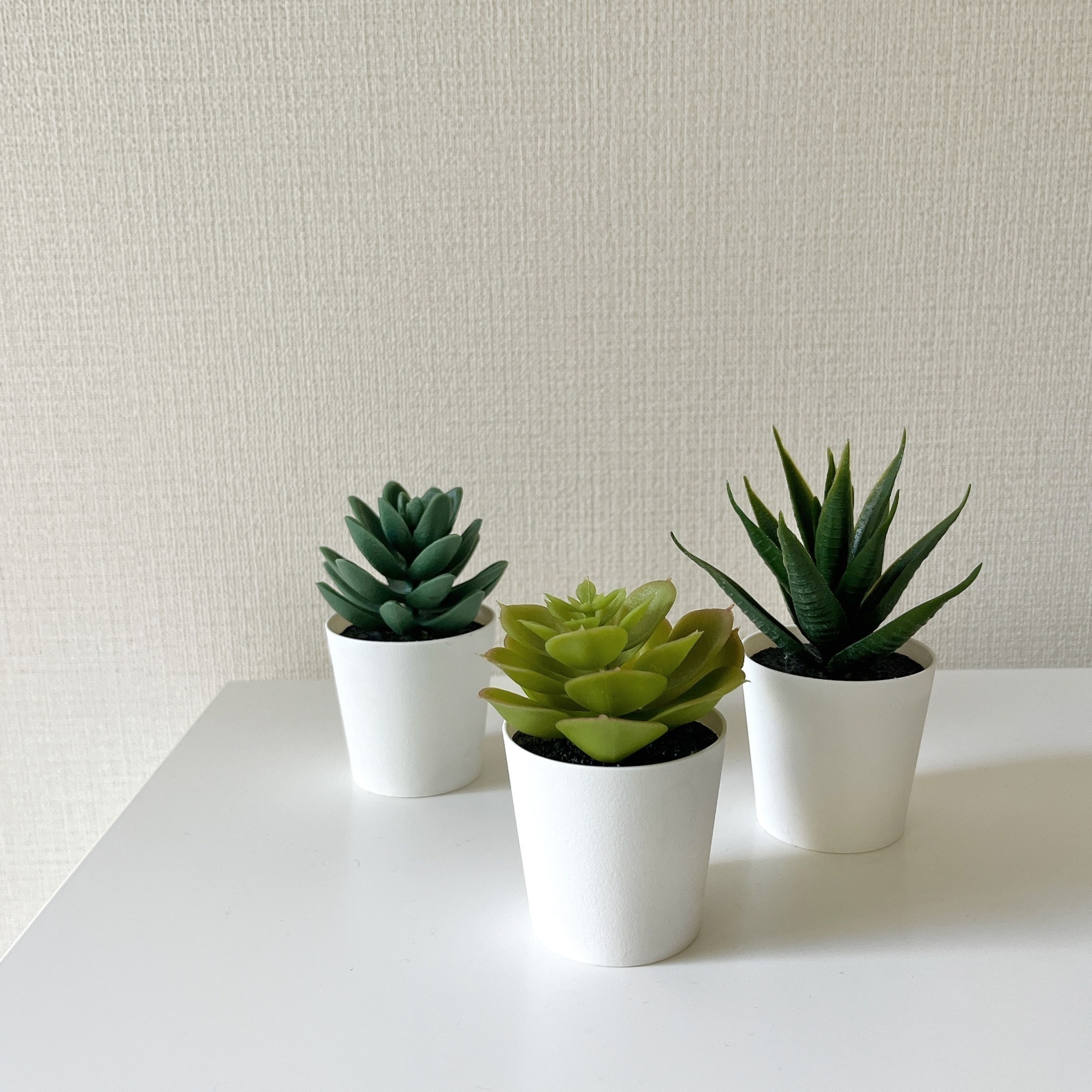 IKEA（イケア）のオススメの観葉植物「FEJKA フェイカ Succulent」