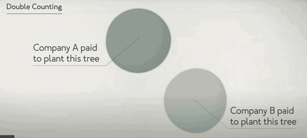 A gif of tree facts from the video about &quot;double counting&quot;