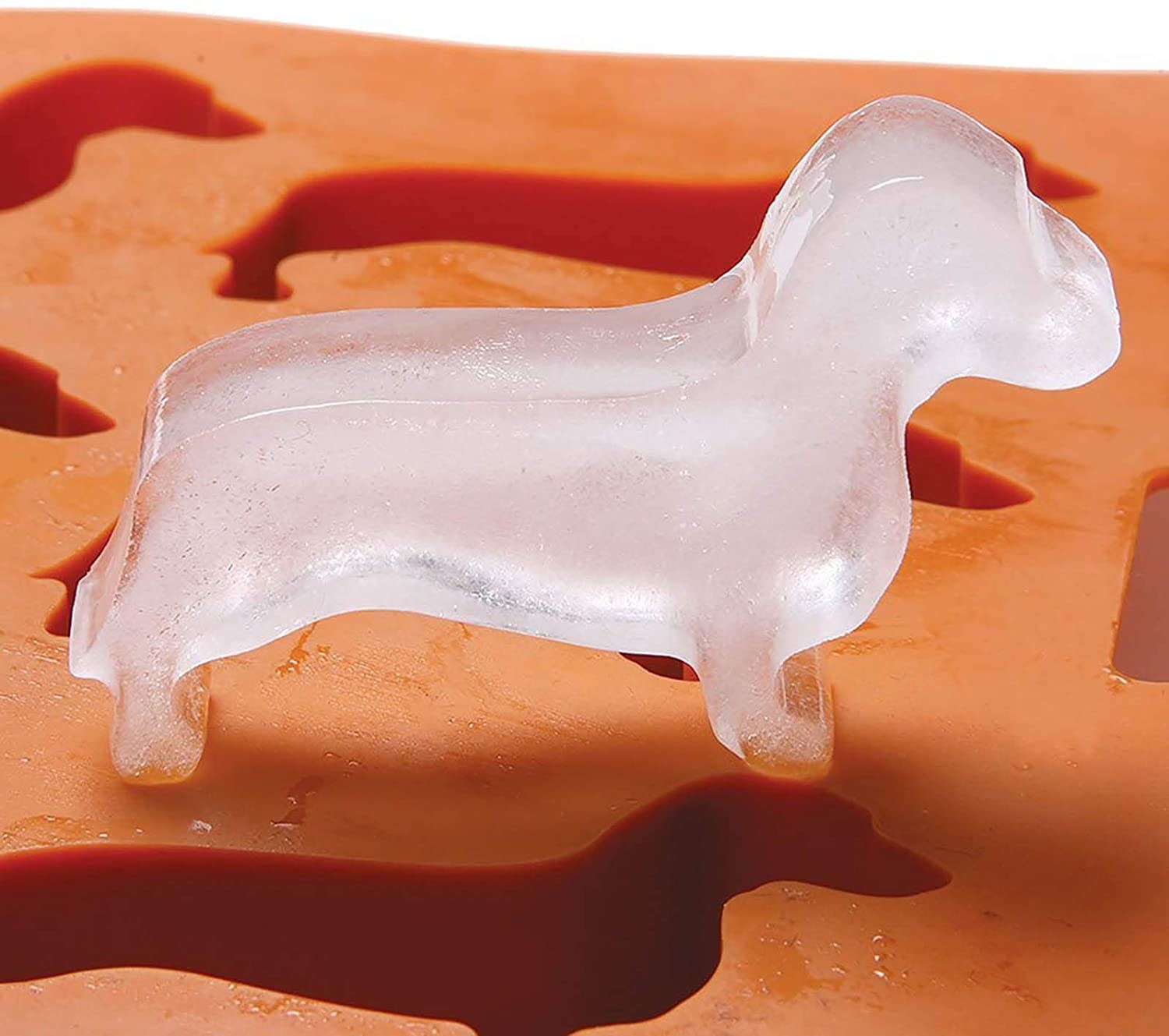 The ice cube tray with one dachshund-shaped ice cube standing on it