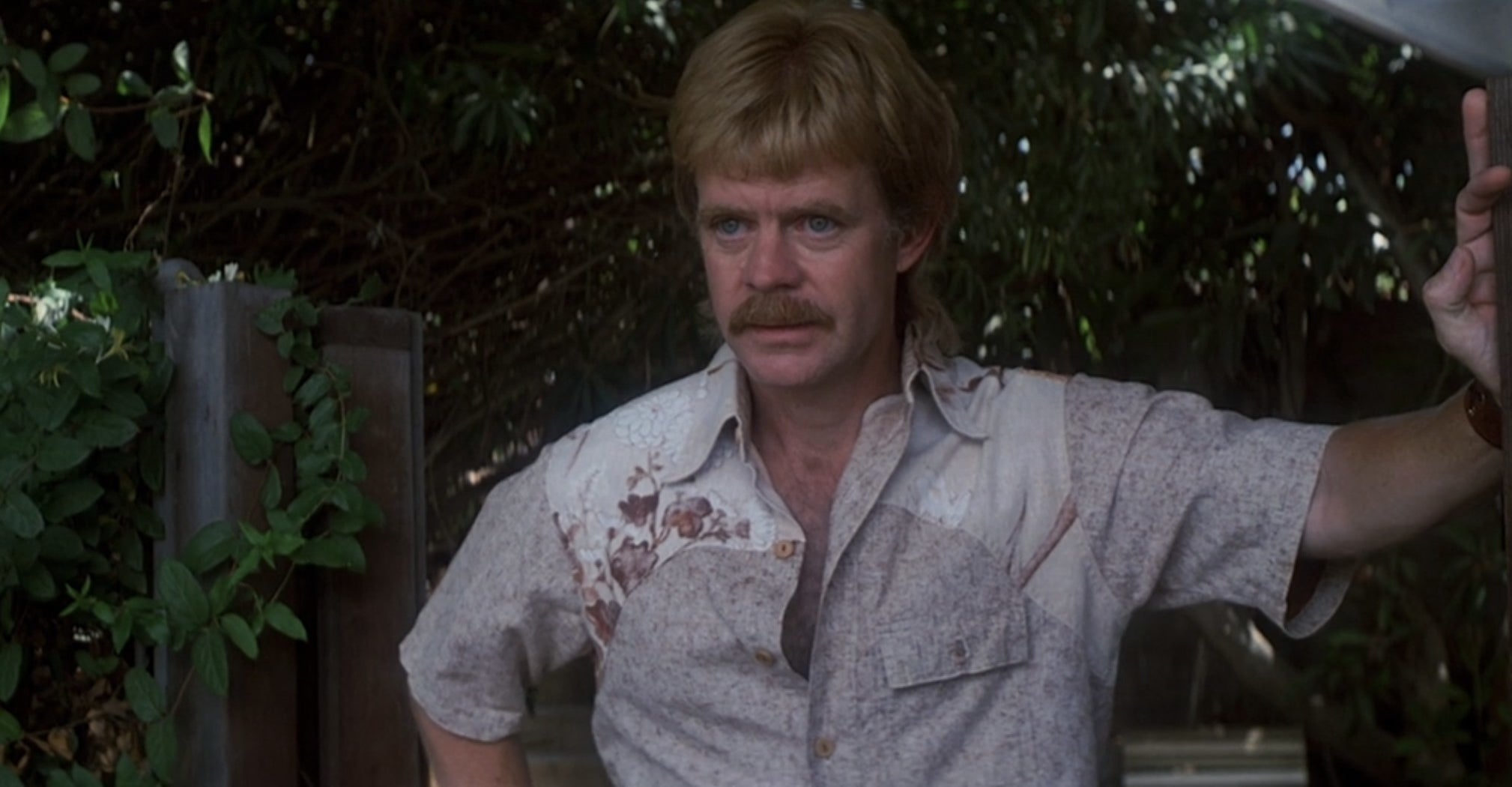 William H. Macy in Boogie Nights