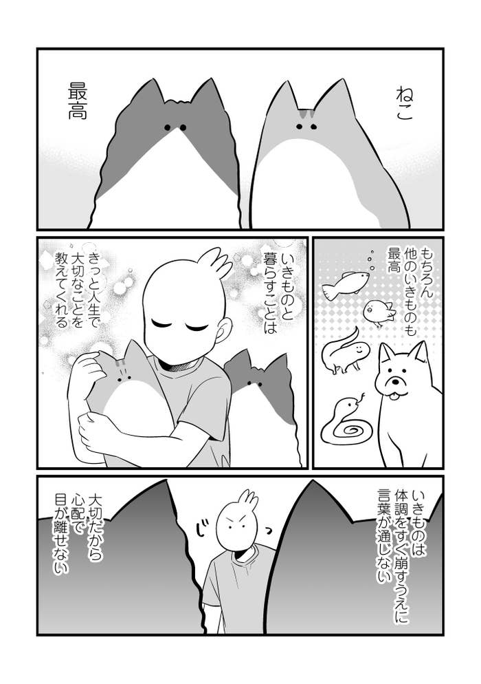 飼い猫の突然の病気 手術 ペットと暮らすことの辛さと楽しさを描いたマンガが話題に