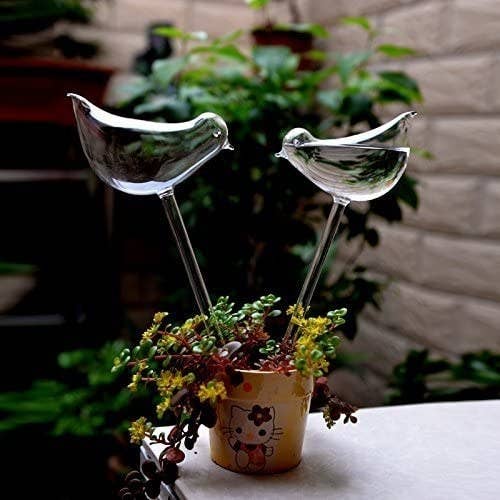 Two glass bird-shaped water globes sticking out of a plant pot