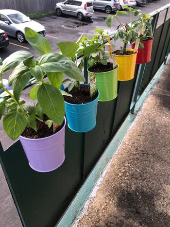reviewer photo of five colorful planters hanging on a railing
