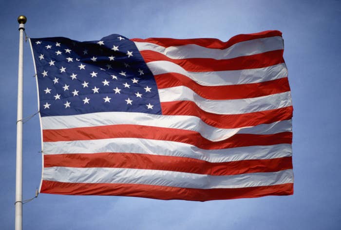 the US flag