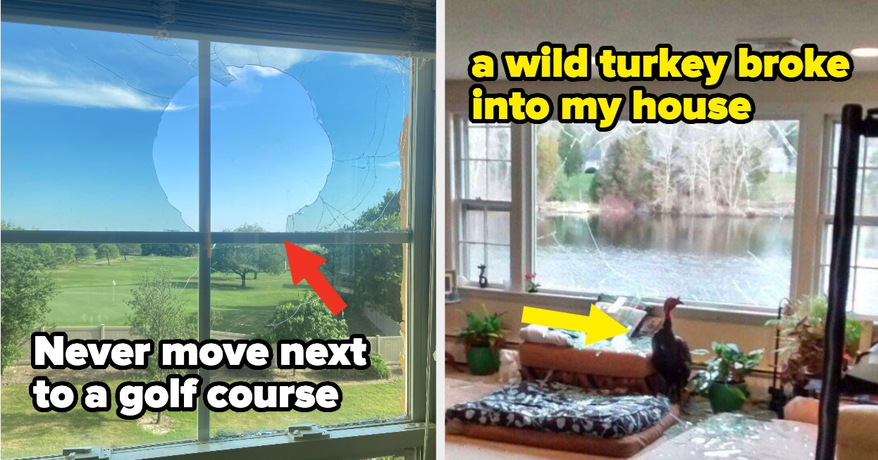 27 People Who Bought Their Dream Home And Pretty Much Immediately Regretted It
