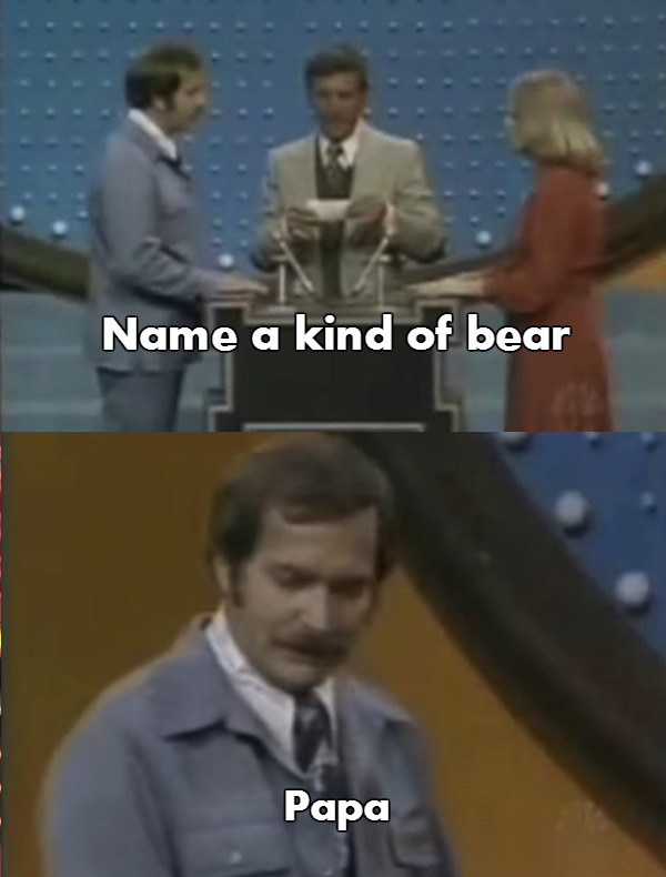 asked to name a type of bear the contestant says papa