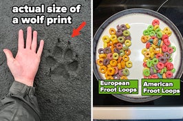 a wolf print and the difference between uk and usa froot loops