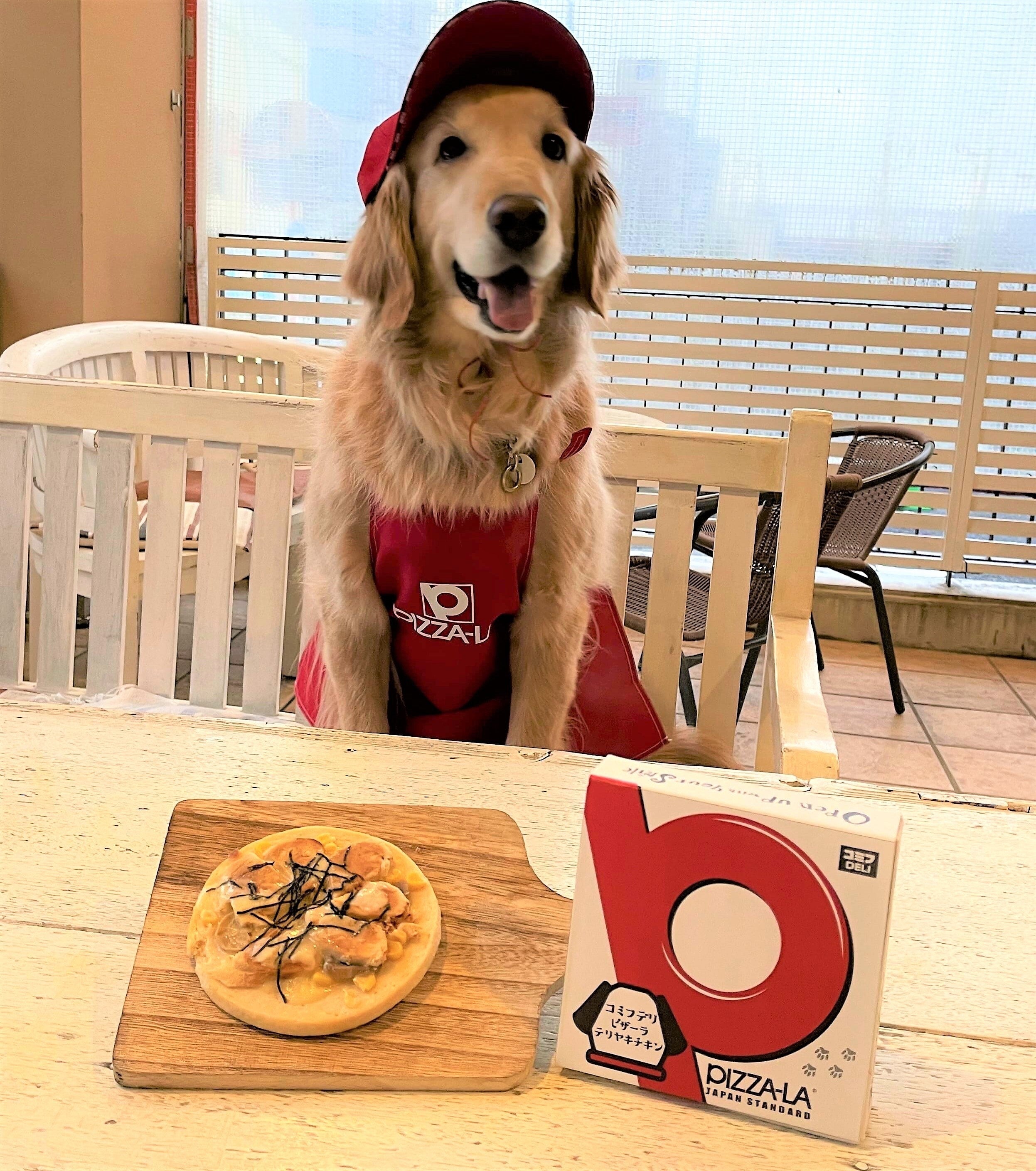 愛犬と一緒に楽しめる ピザーラから わんこピザ テリヤキチキン が登場