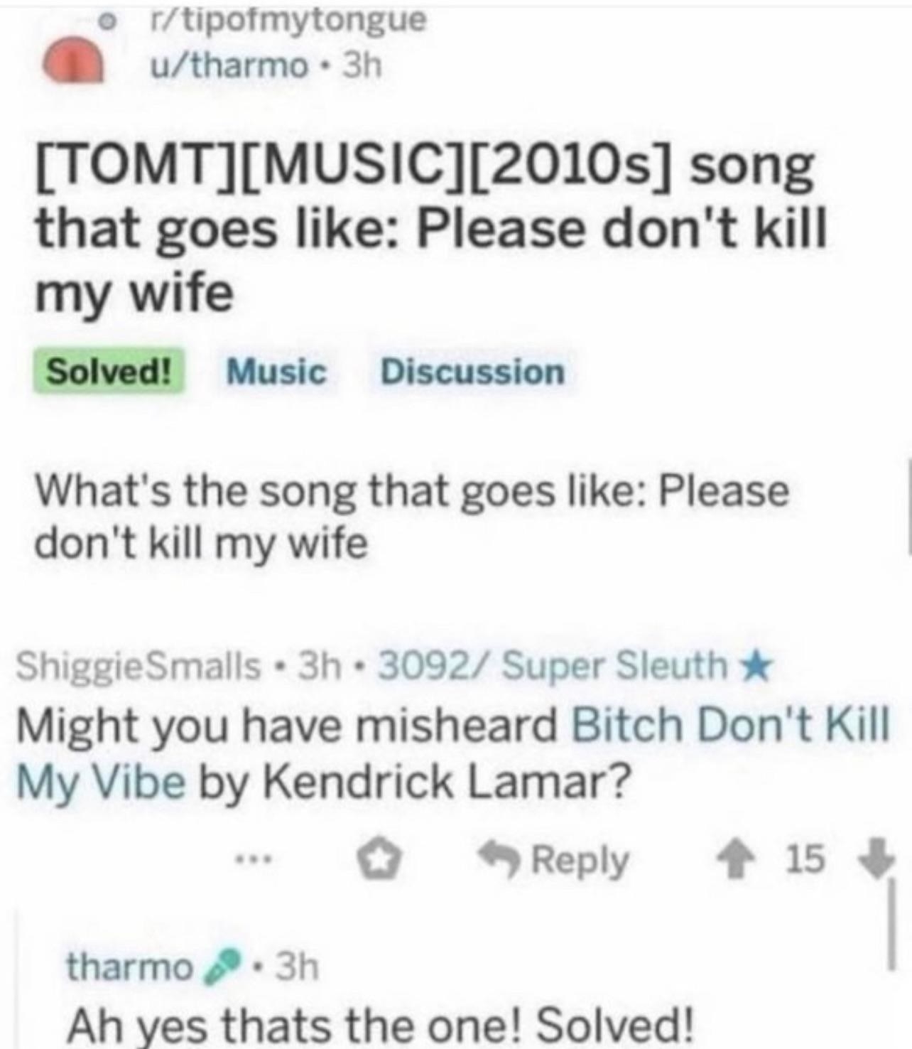someone who thinks the song bitch don&#x27;t kill my vibe is called please don&#x27;t kill my wife