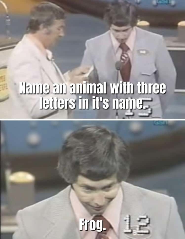 contestant says frog to answer what animal has three letters