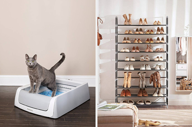 Cat in self-cleaning litter box/shoes placed on multi-level shoe rack