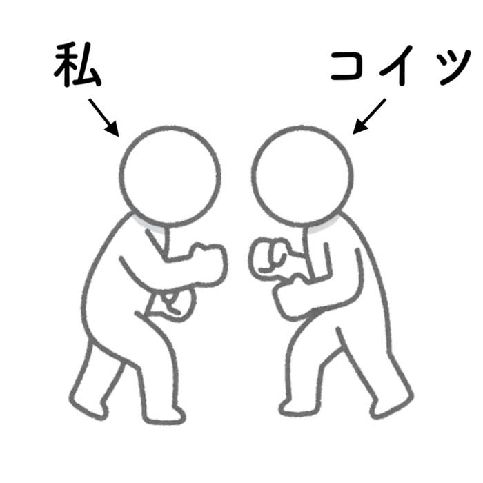 マジで見違えた カインズの アイデア収納 シンク下のごちゃごちゃ問題が解決できた