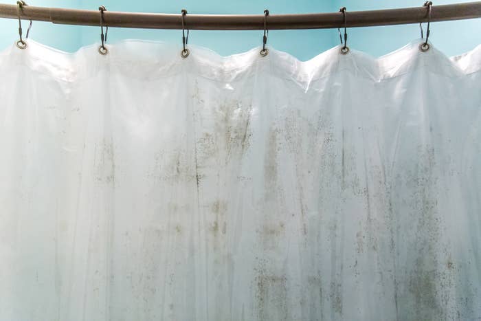 a dirty shower curtain