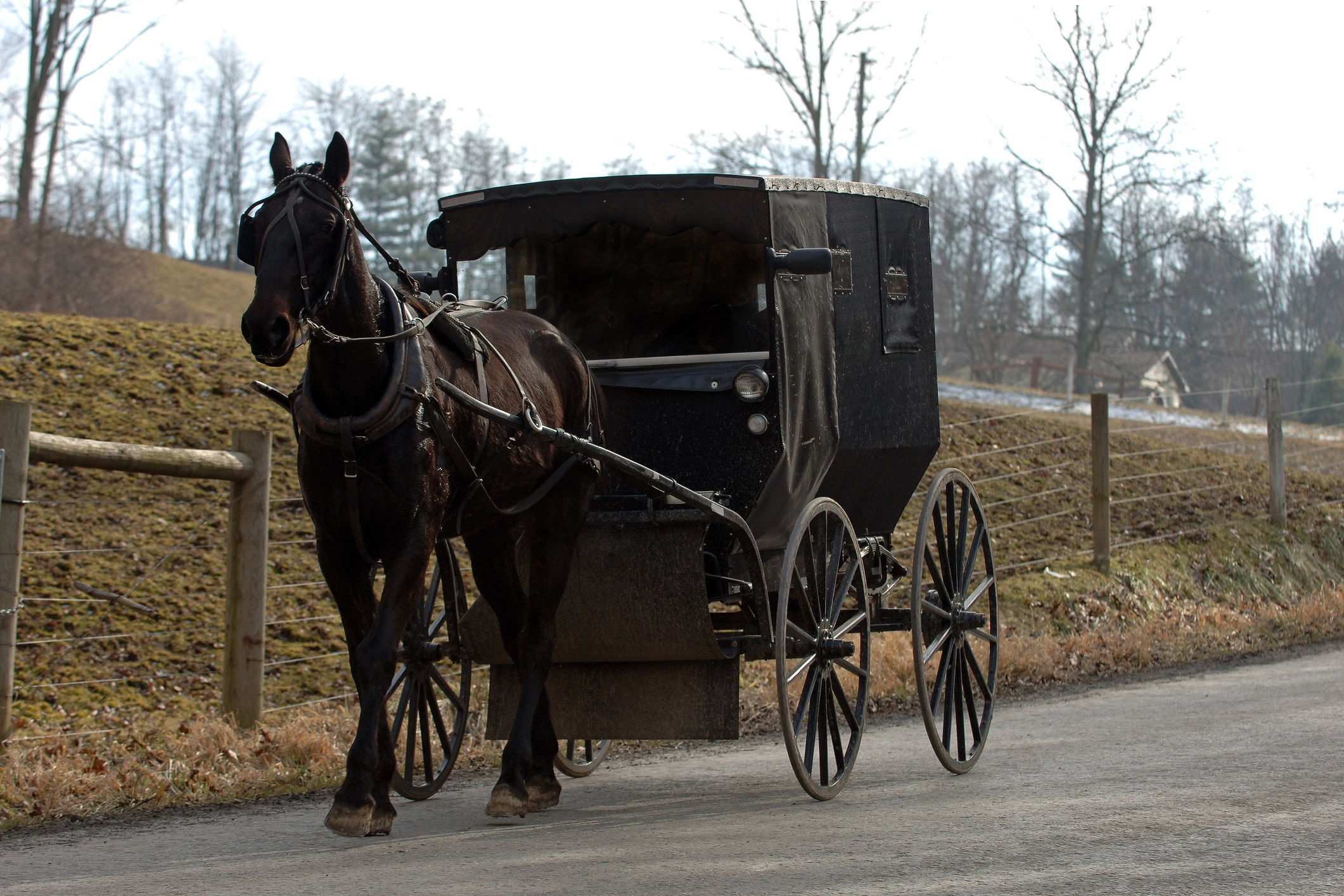 a horse and buggy going down the road