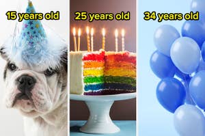 A dog wears a hat labeled, "15 years old" with rainbow cake labeled, "25 years old and balloons labeled "34 years old"