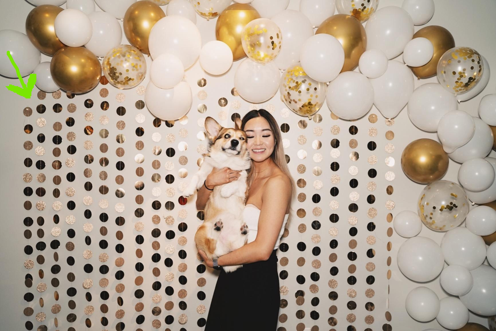Reviewer posing with dog in front of circle gold and glittery streamers on wall with white and gold balloon streamer