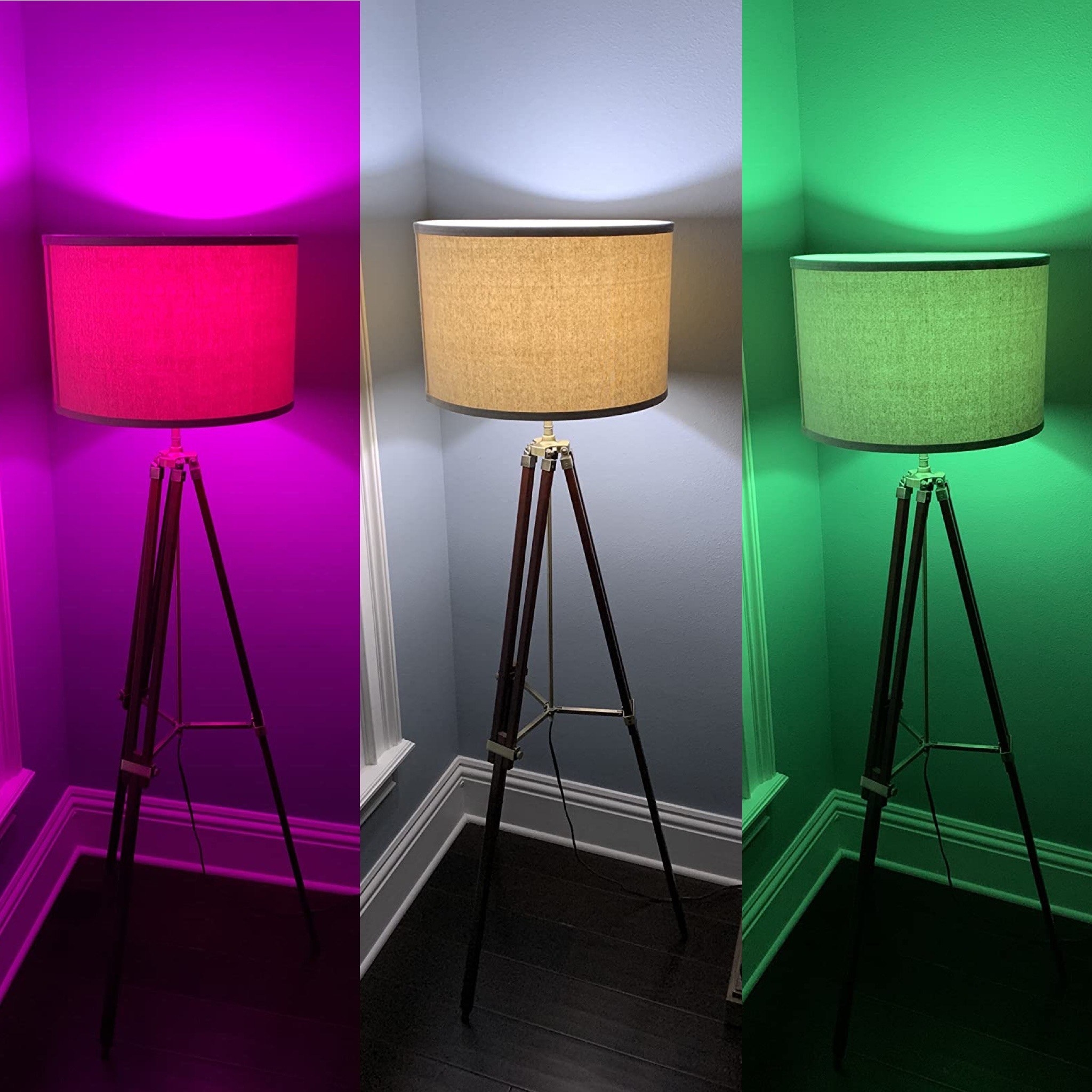 a review photo of the lamp on color pink daylight and green