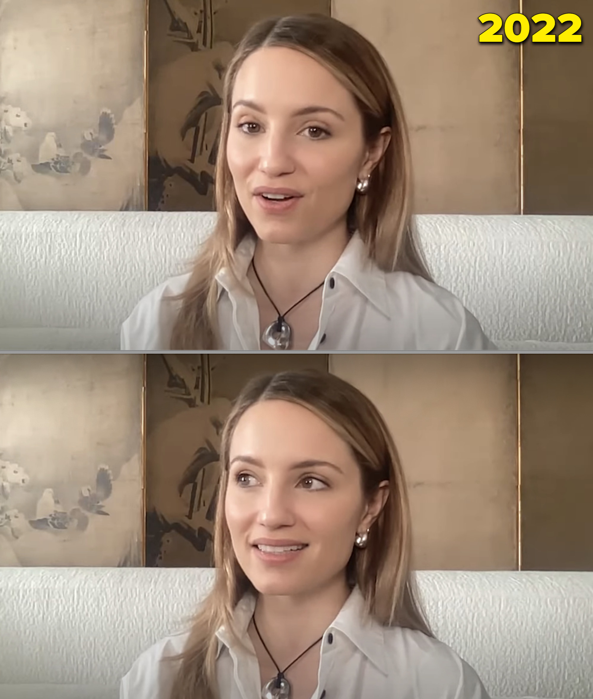 Dianna being interviewed over Zoom in her home