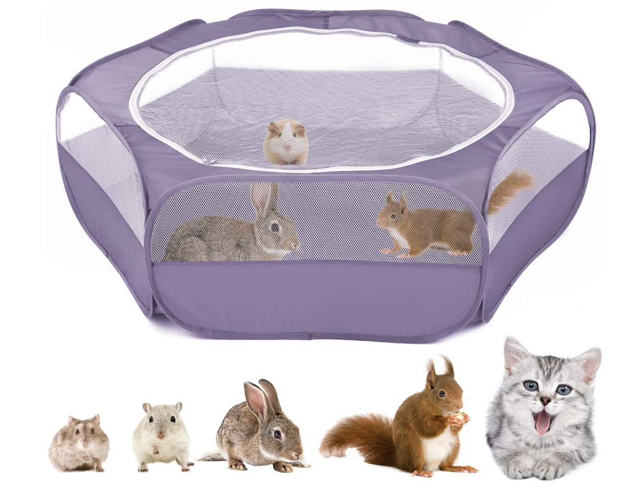The playpen with a bunny, guinea pig, and squirrel in it, and a lineup of small animals underneath