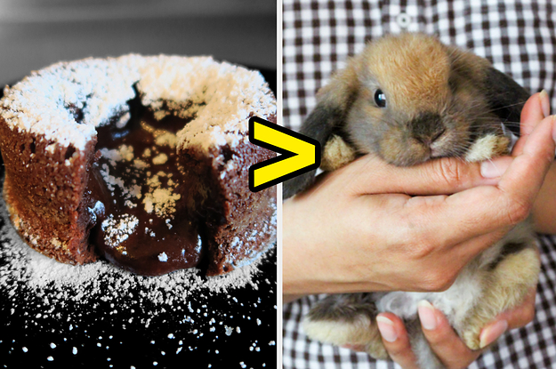 This Poll Will Be The Hardest One You'll Ever Take As You Have To Choose Between Super Cute Animals Or Can't-Live-Without Desserts