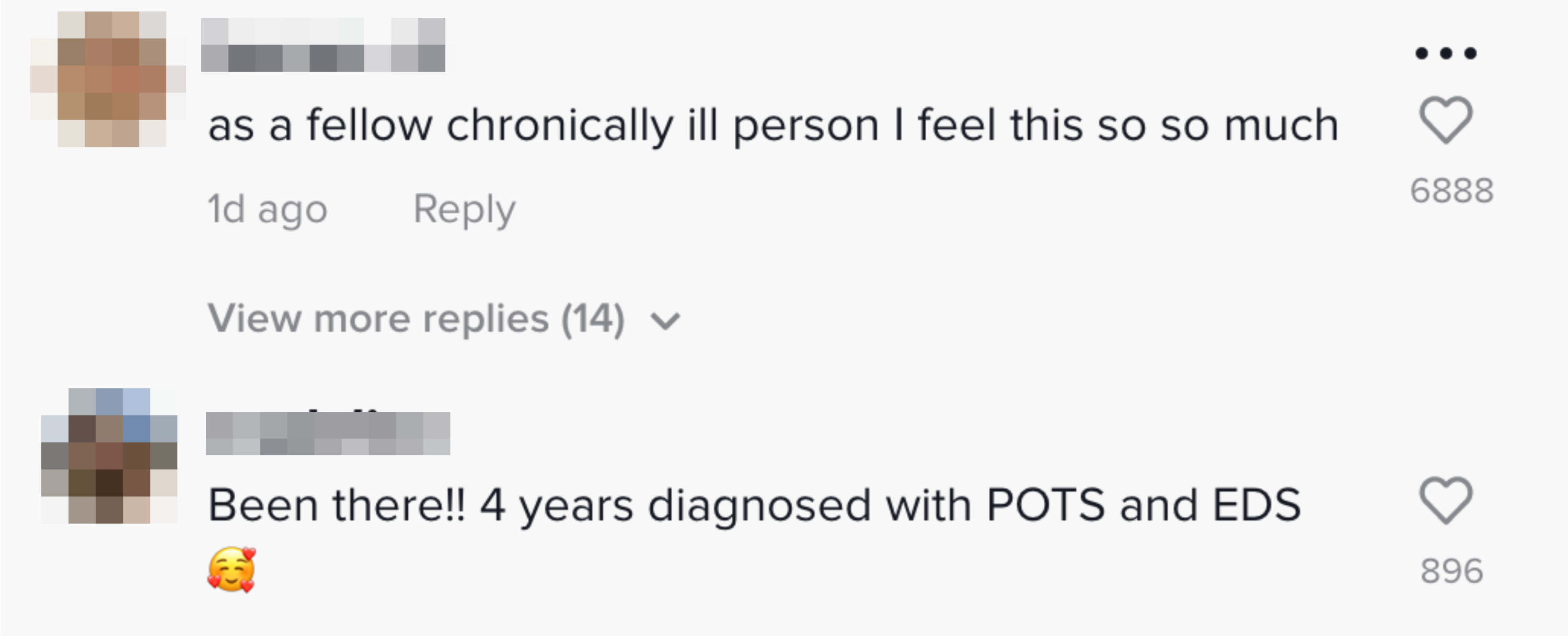 Two commenters who are chronically ill or have the same conditions as Halsey say they know the feeling
