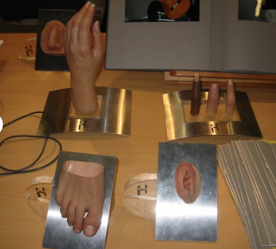 Human body parts being displayed