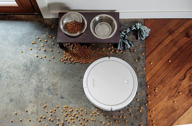 the robot vacuum cleaning a carpet messy with dog food