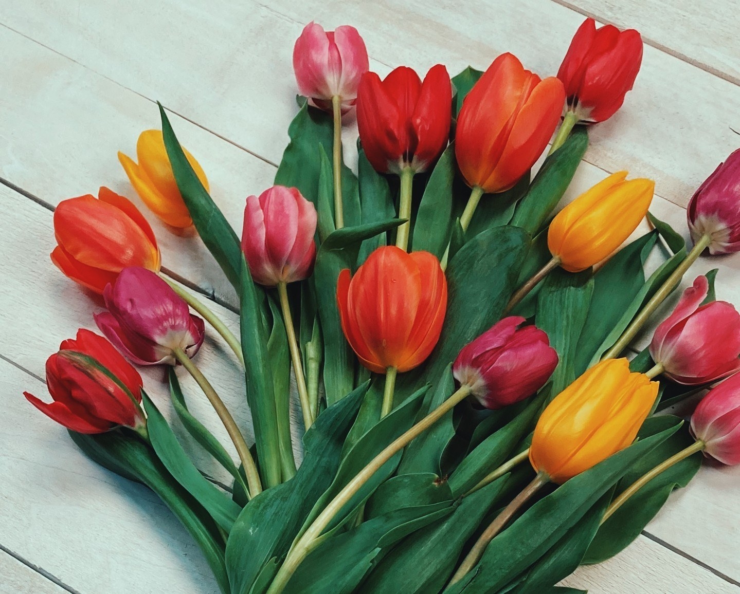the pink, yellow, and orange tulips