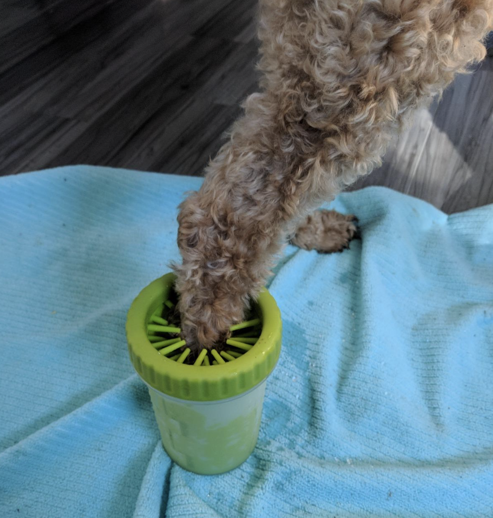 reviewer photo of dog paw being dipped in the washer