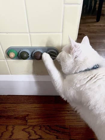 reviewer's cat using the toy