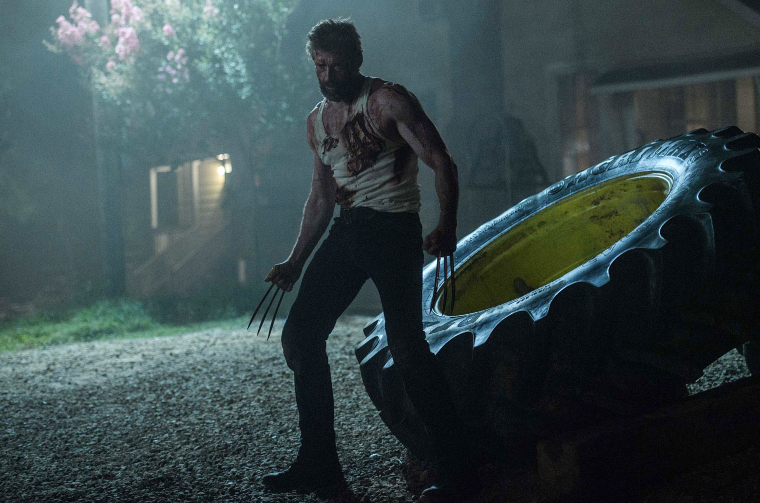 Wolverine with his claws out at night standing next to a huge tire