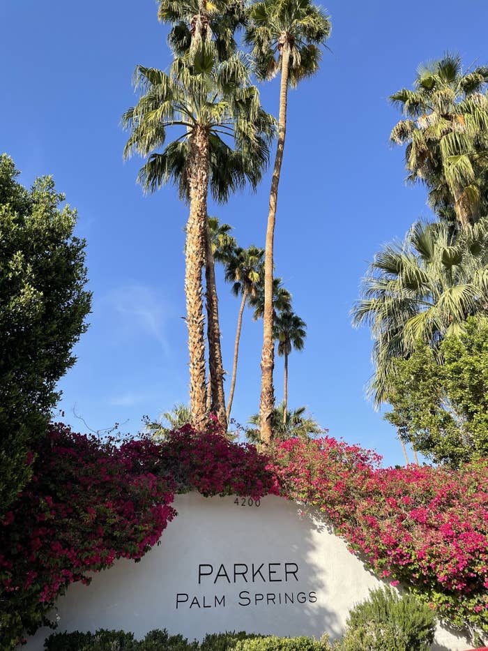 A picture of the entrance to Parker Palm Springs with palm trees looming in the background