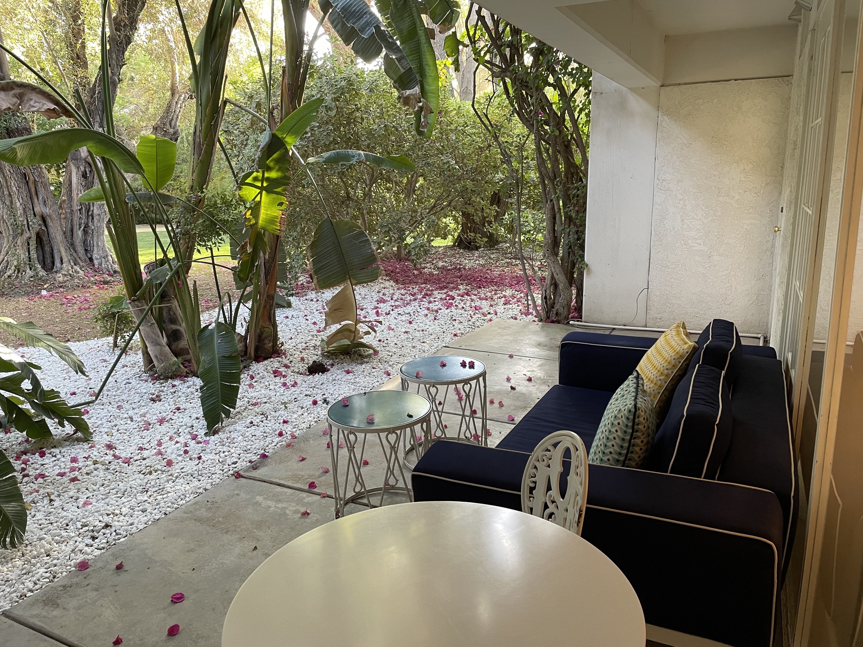 A shot of the outside patio accompanying the guest room at Parker Palm Springs