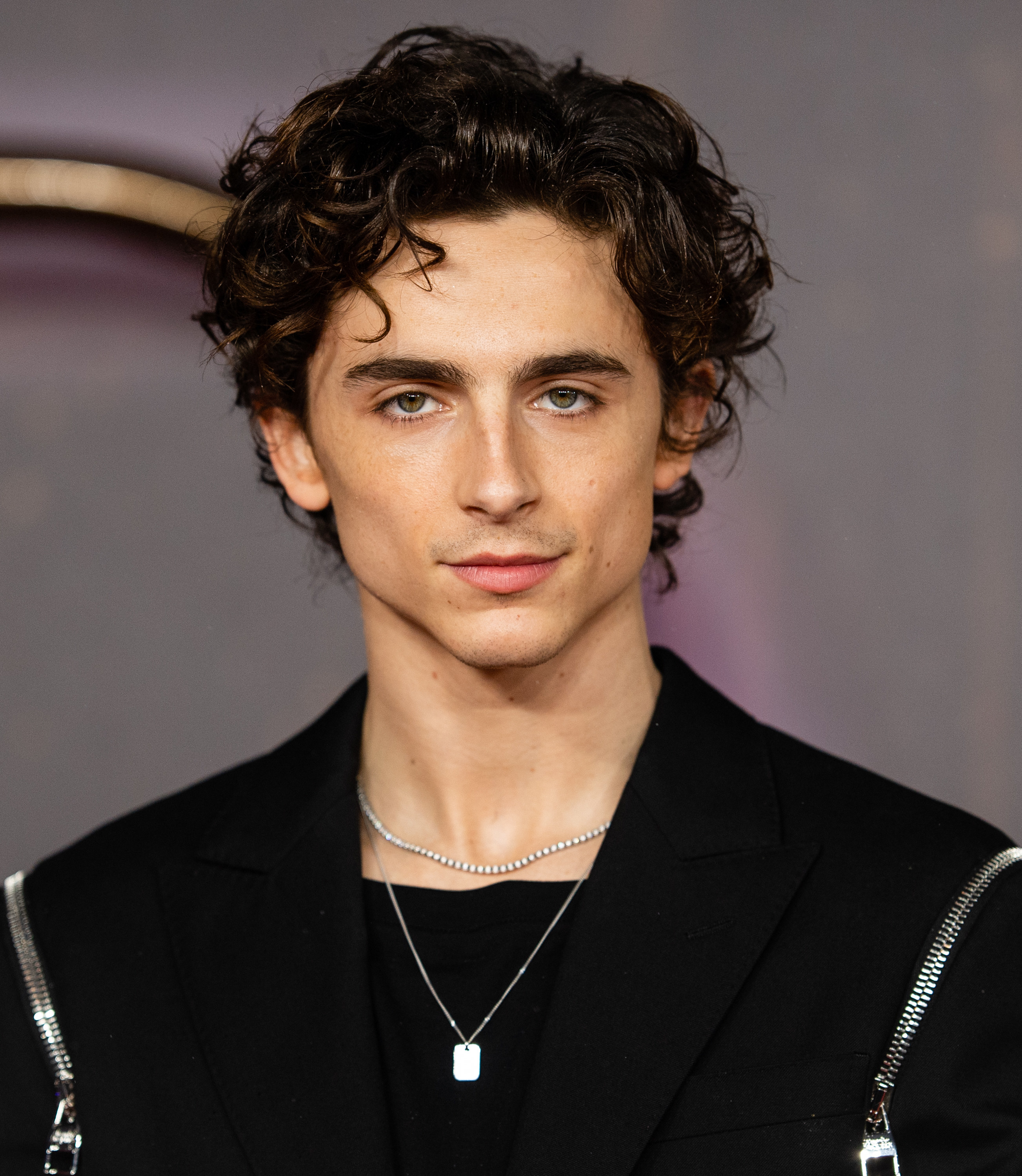 Timmy in a black jacket on a red carpet