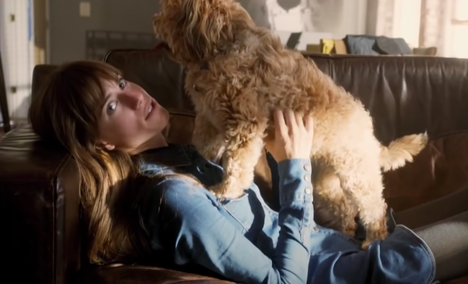 Allison holdling a dog in her lap