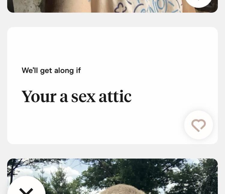 Hinge profile reads &quot;We&#x27;ll get along if your a sex attic&quot;