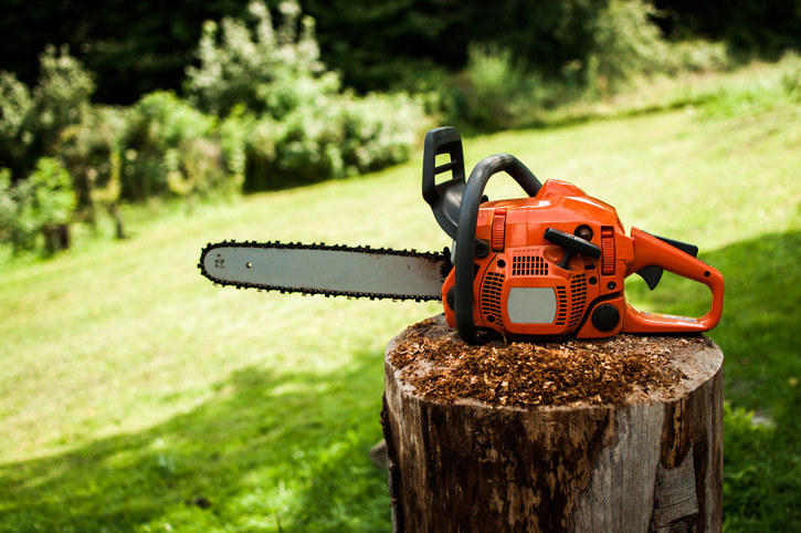 a chainsaw on a tree stump
