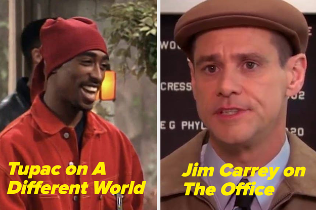 20 celebrities who made the Cameos On Hit series