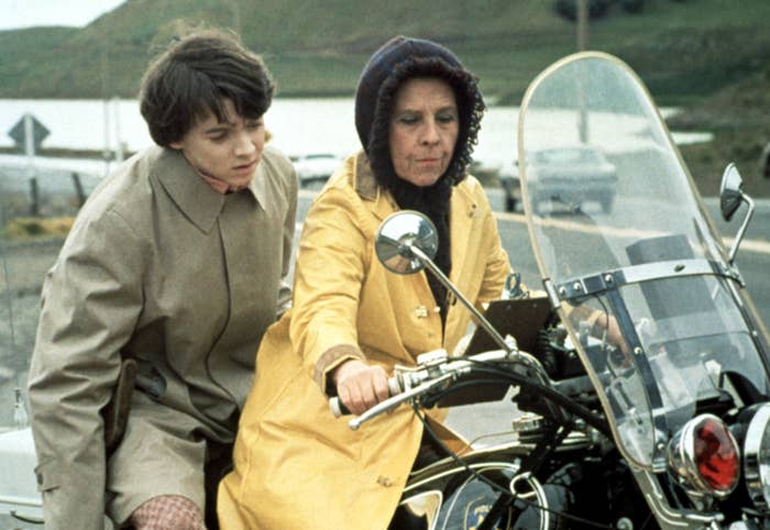 &quot;Harold and Maude&quot;