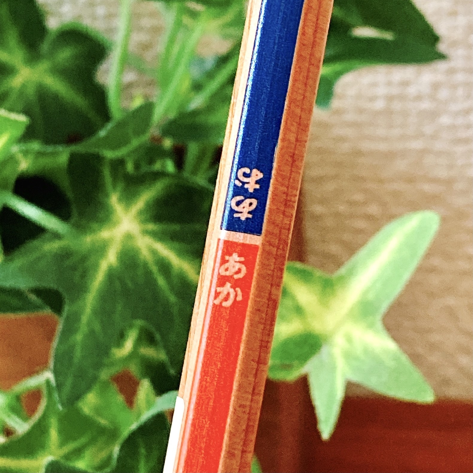 無印良品のオススメの文房具「鉛筆 赤/青」