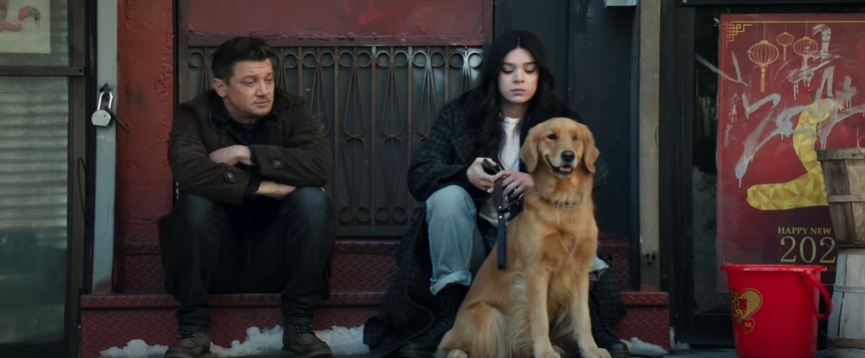 Kate Bishop, Hawkeye and Lucky the Pizza Dog sitting on a stoop