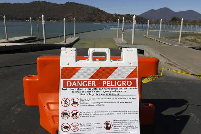 A sign warns of toxic blooms of blue-green algae