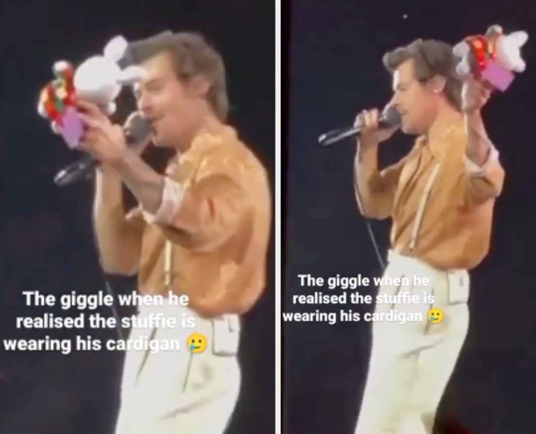 Harry Styles holding a bunny thrown on to the stage.