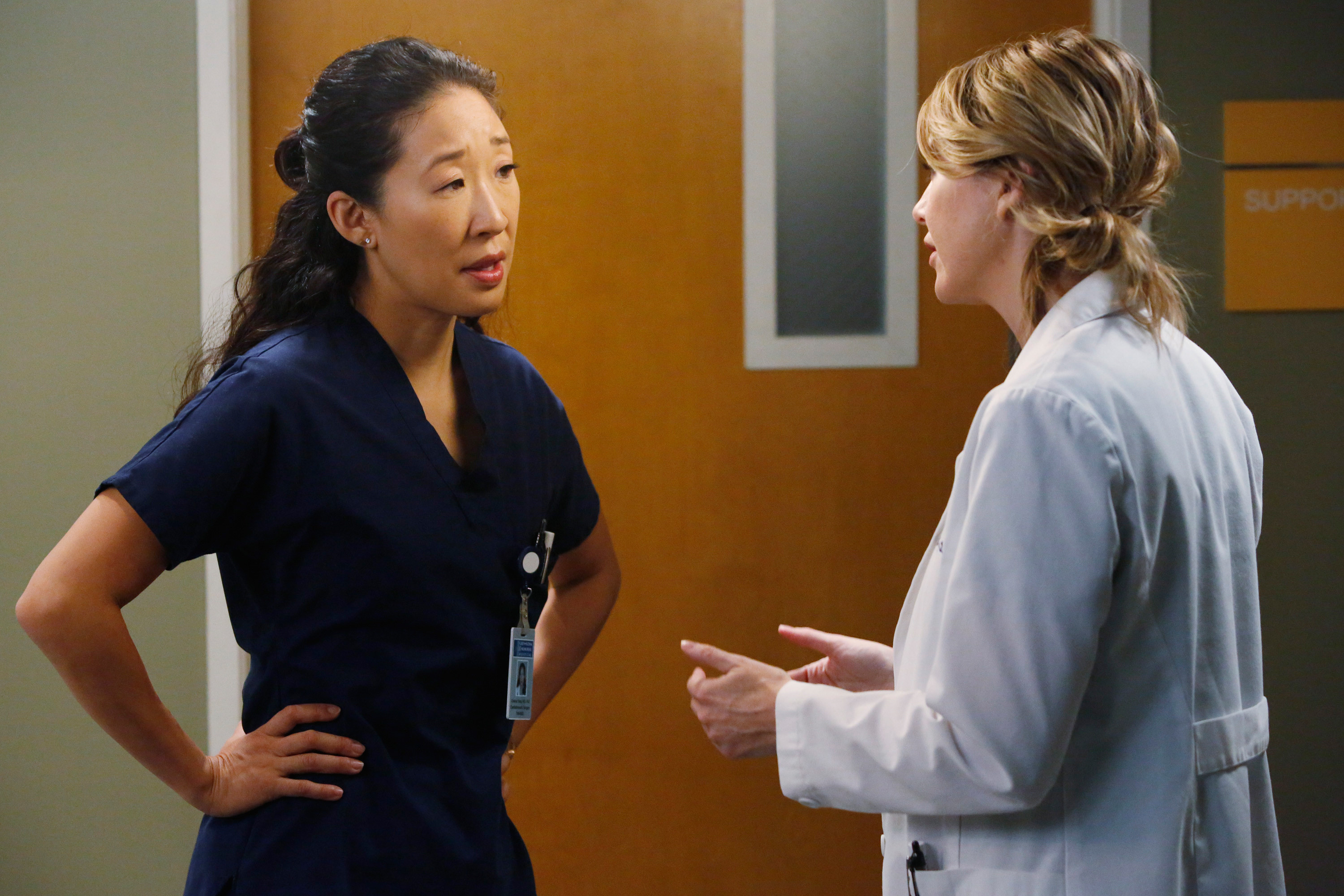 Cristina talks to another doctor