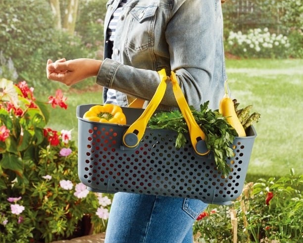 Person carrying gardening basket filled with produce