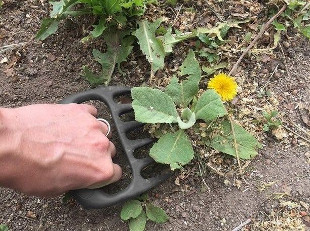 Person using gardening claw