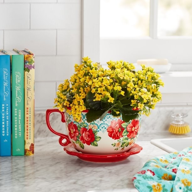 Yellow flowers in teacup planter