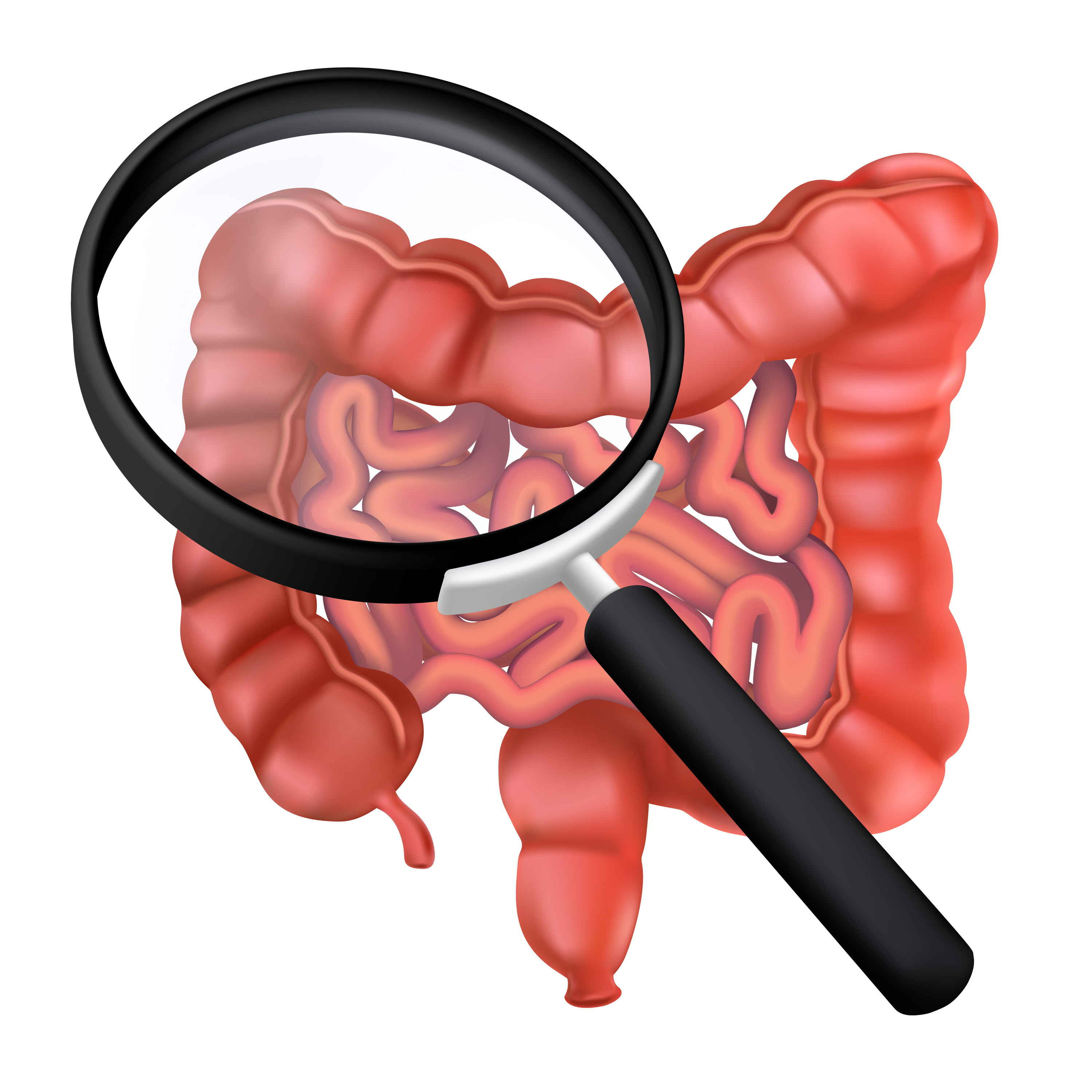 Graphic of a magnifying glass over intestines
